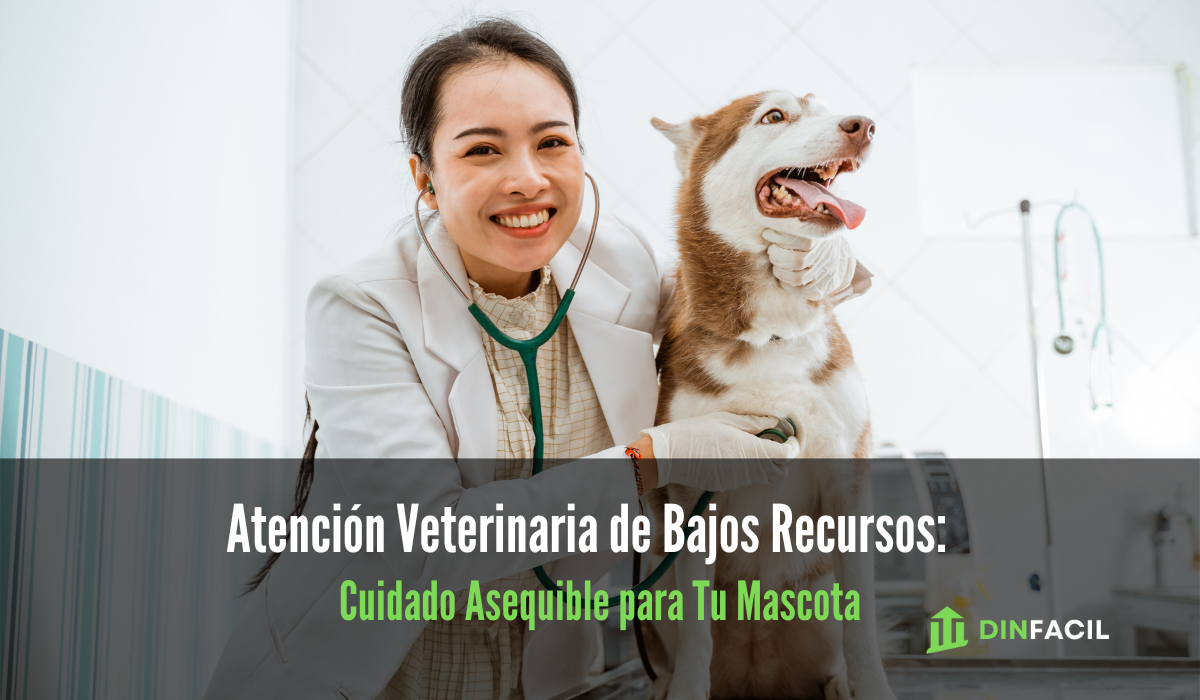 Veterinaria cerca de mi